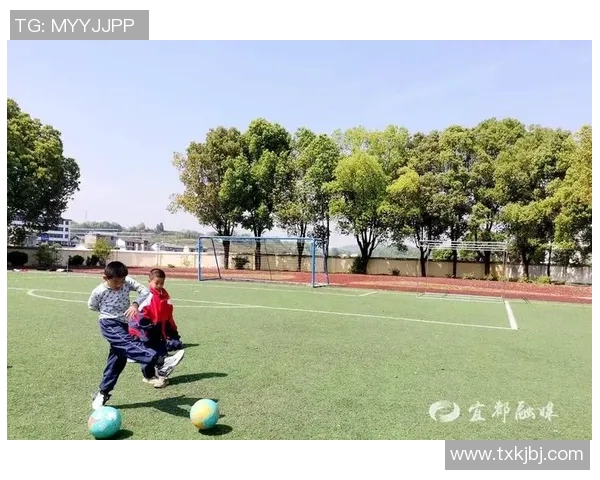 足球是连接世界的桥梁让不同文化在绿茵场上交融共舞