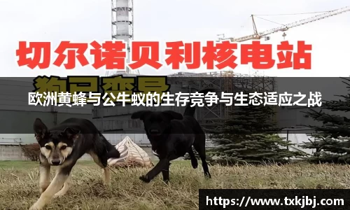 欧洲黄蜂与公牛蚁的生存竞争与生态适应之战
